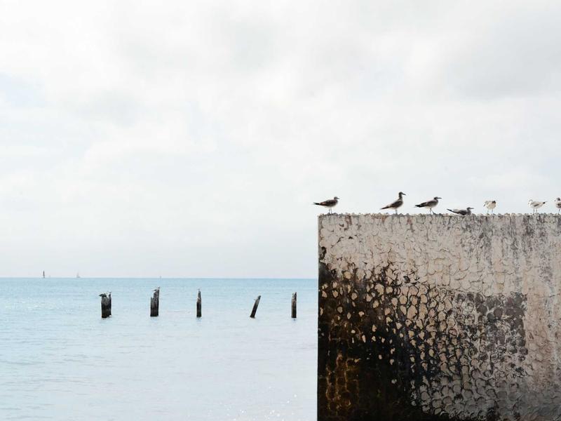 Mercedes-Benz G63 AMG photo 3